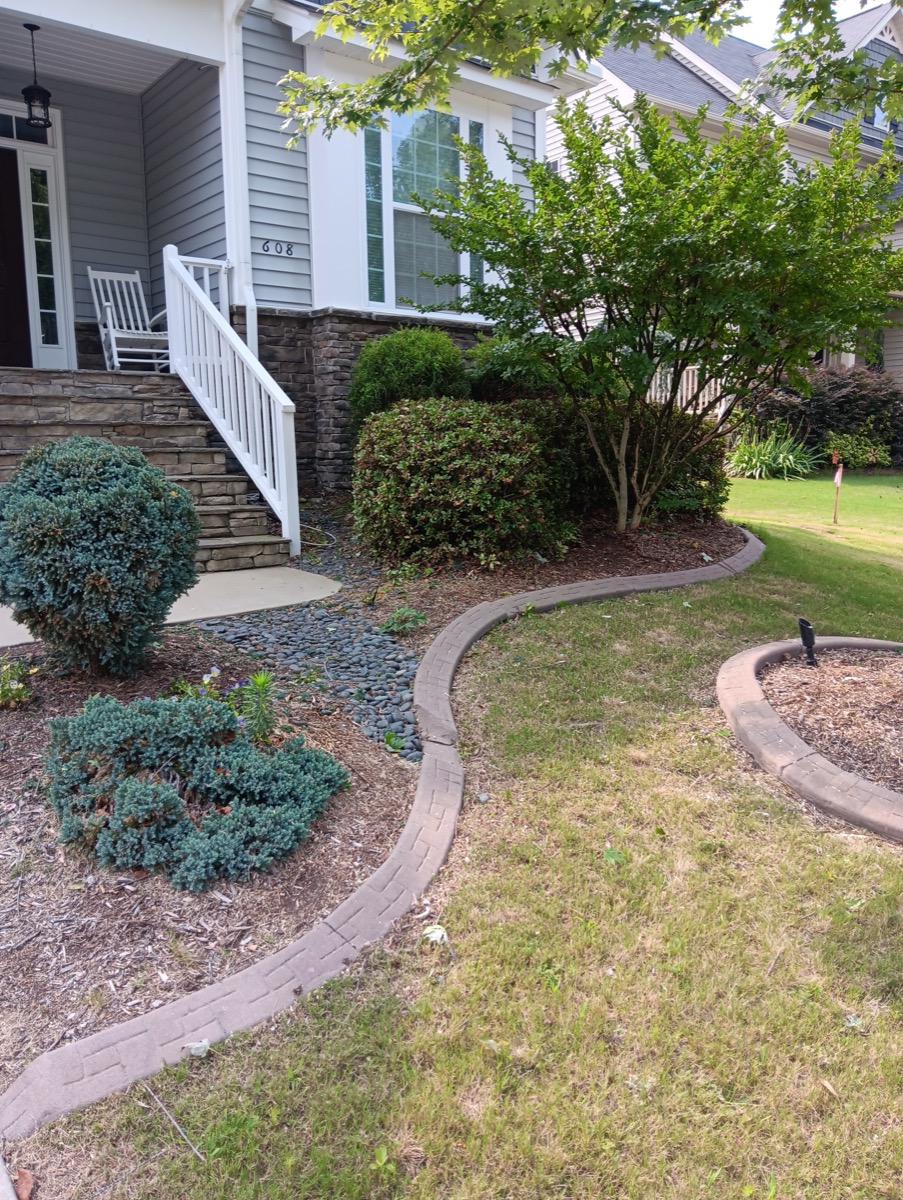 Curved edging with mulch beds and ornamental shrubs