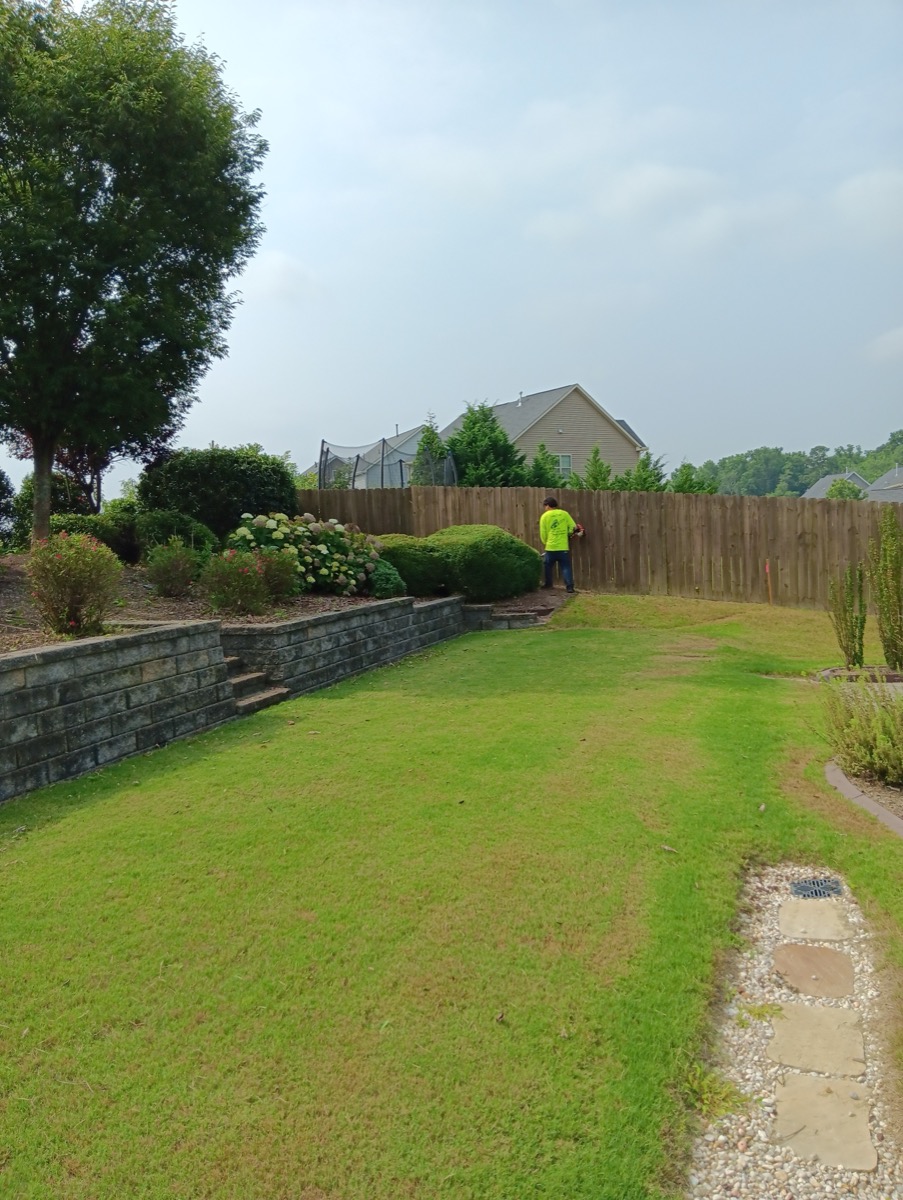 Worker mowing lawn by retaining wall with hydrangeas