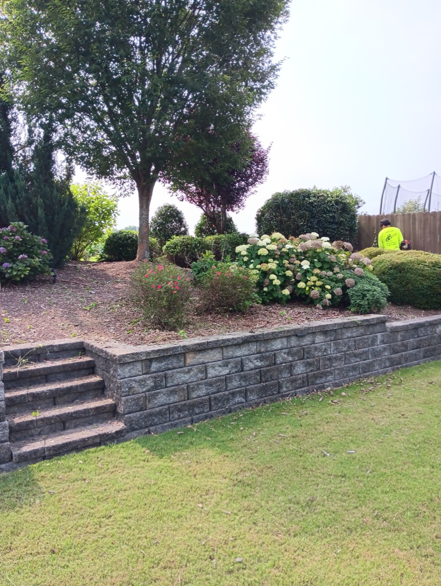 Retaining wall with steps and flowering hydrangeas