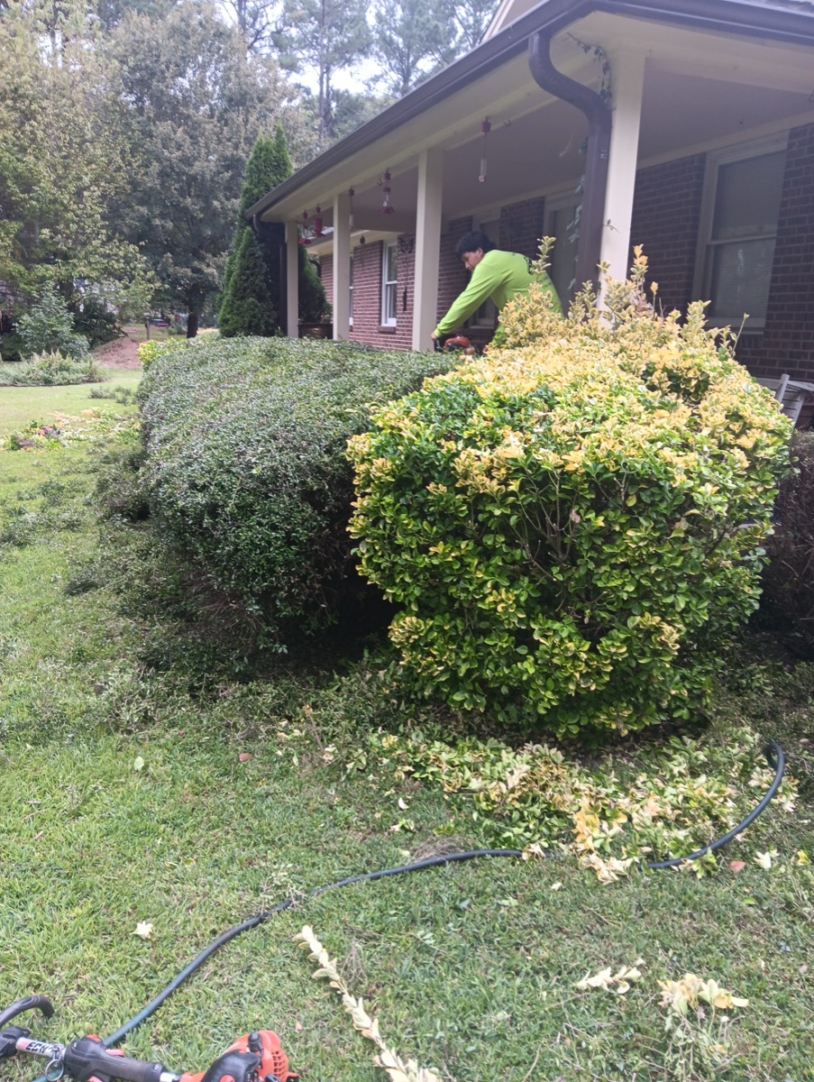 Shrub trimming in progress at residential property