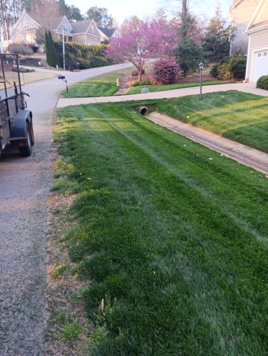 Fresh mowing stripes on residential lawn by HRJ
