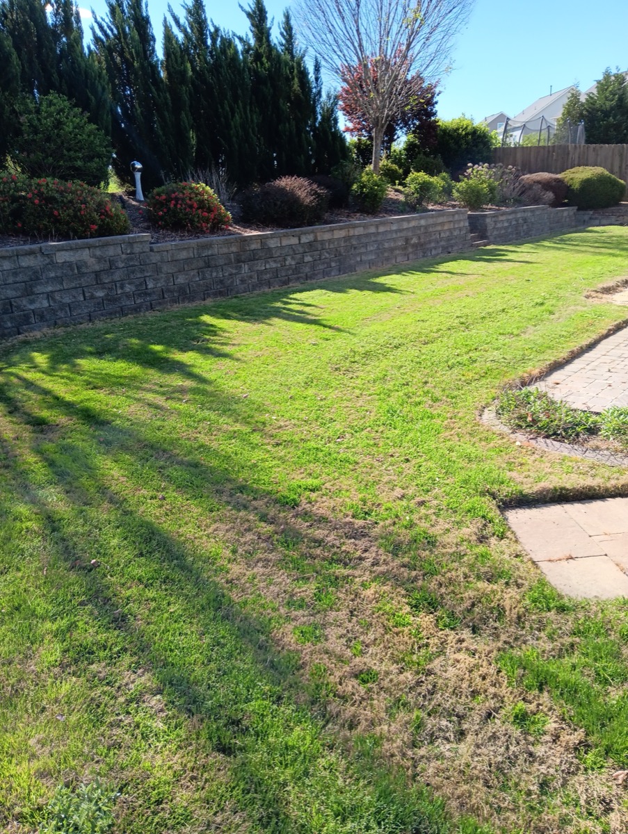 Green lawn with retaining wall and landscaping
