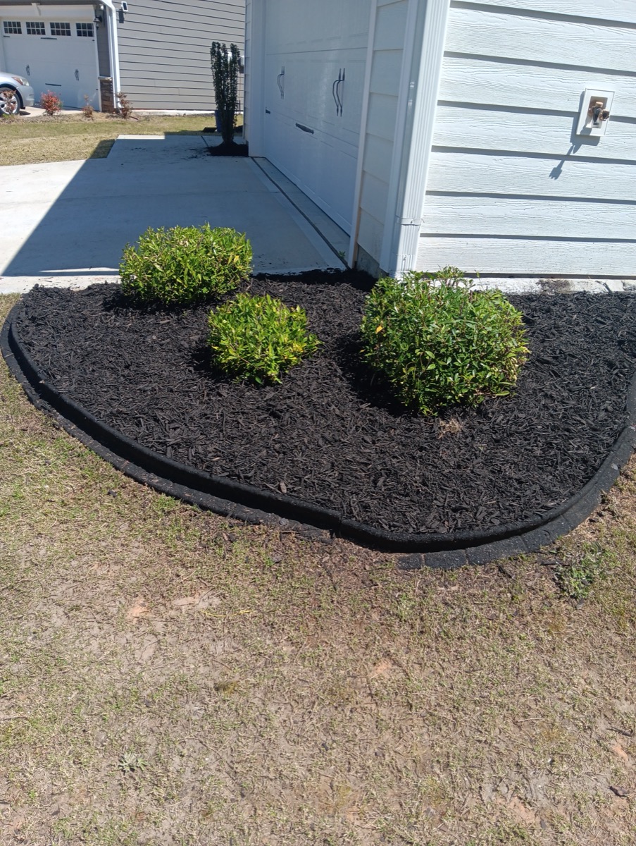 Trimmed shrubs with fresh mulch by garage