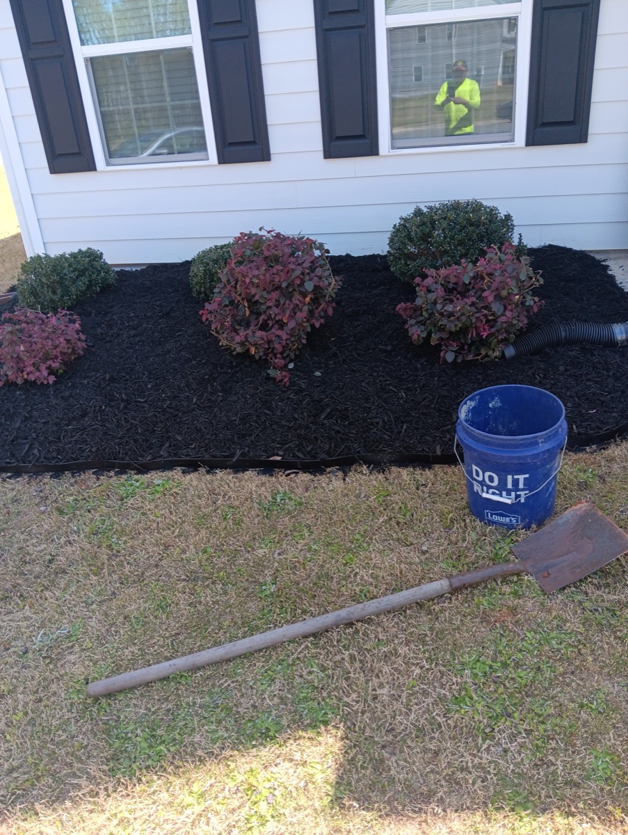 Fresh mulch bed with shrubs and loropetalum by HRJ