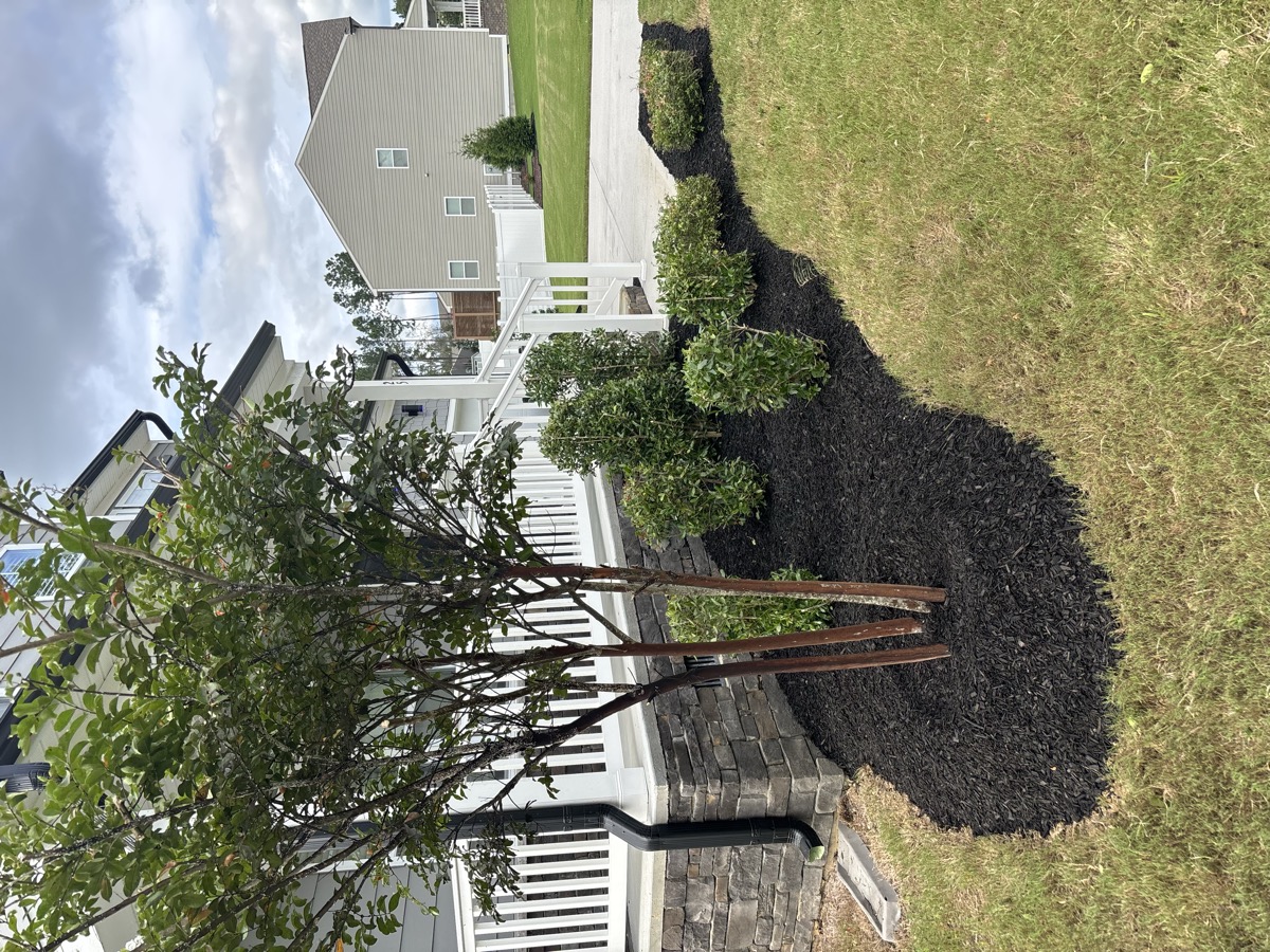 Fresh dark mulch with shrubs and stone veneer