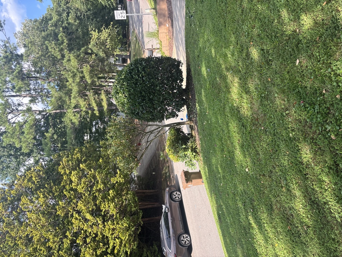 House front with trimmed hedge and green lawn